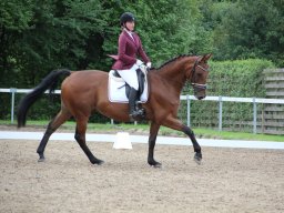 IMG_0527_web